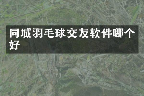 同城羽毛球交友软件哪个好