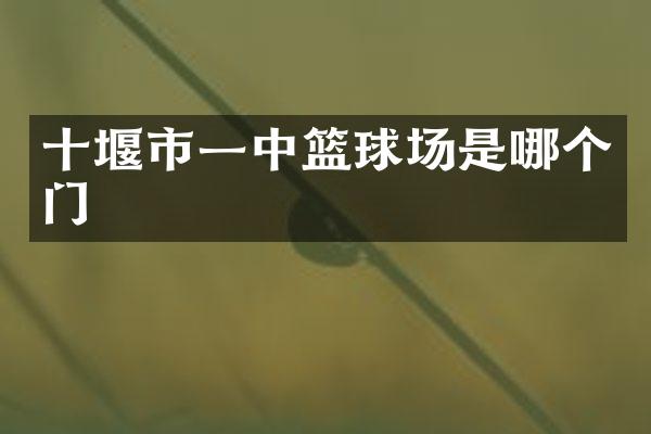 十堰市一中篮球场是哪个门