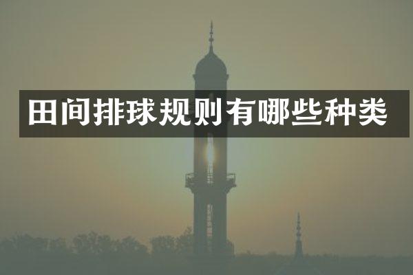 田间排球规则有哪些种类