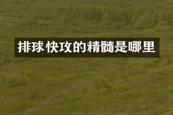 排球快攻的精髓是哪里