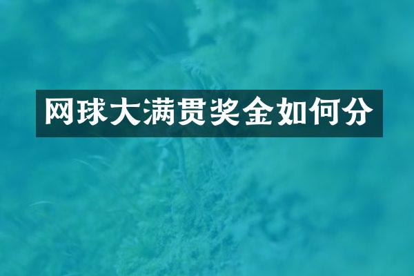 网球奖金如何分