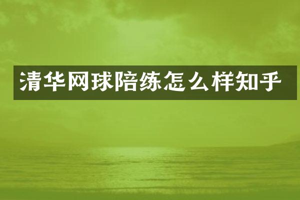 清华网球陪练怎么样知乎