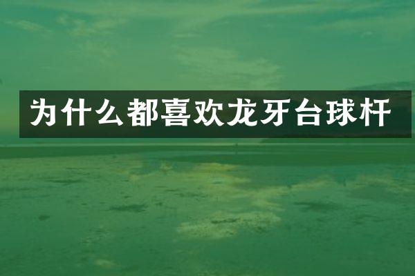 为什么都喜欢龙牙台球杆