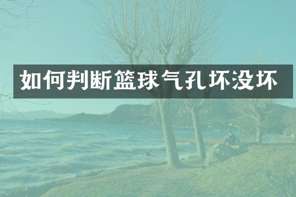 如何判断篮球气孔坏没坏
