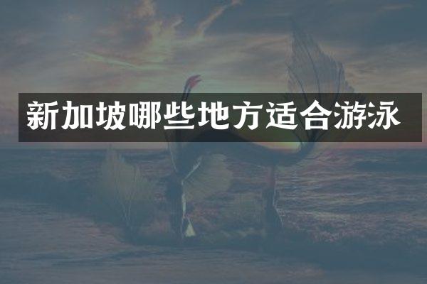 新加坡哪些地方适合游泳