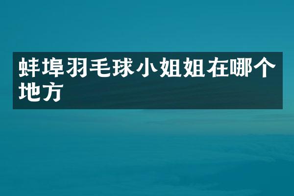 蚌埠羽毛球姐在哪个地方