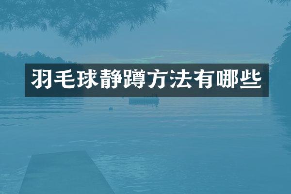 羽毛球静蹲方法有哪些