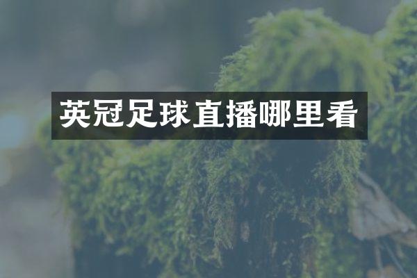 英冠足球直播哪里看