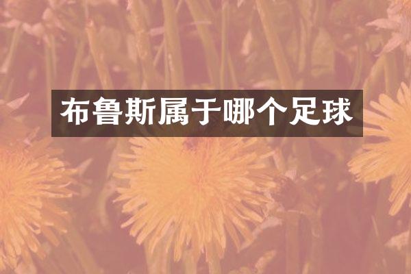 布鲁斯属于哪个足球
