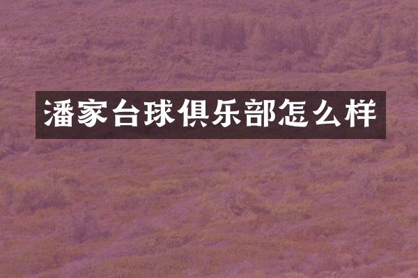 潘家台球俱乐部怎么样
