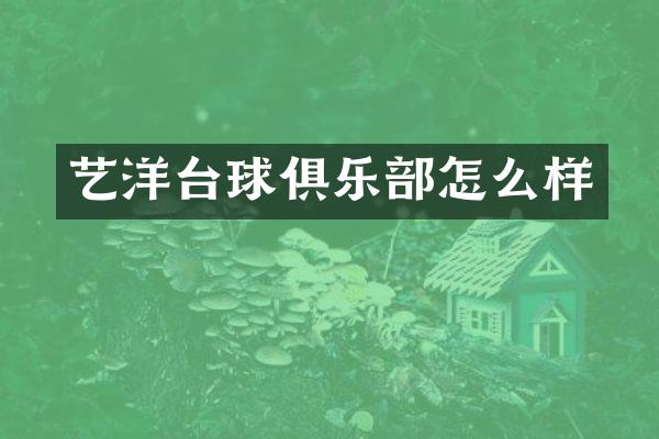 艺洋台球俱乐部怎么样