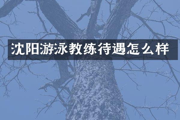 沈阳游泳教练待遇怎么样