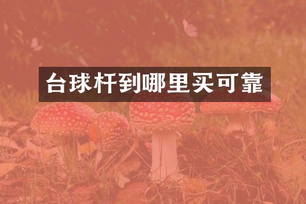 台球杆到哪里买可靠