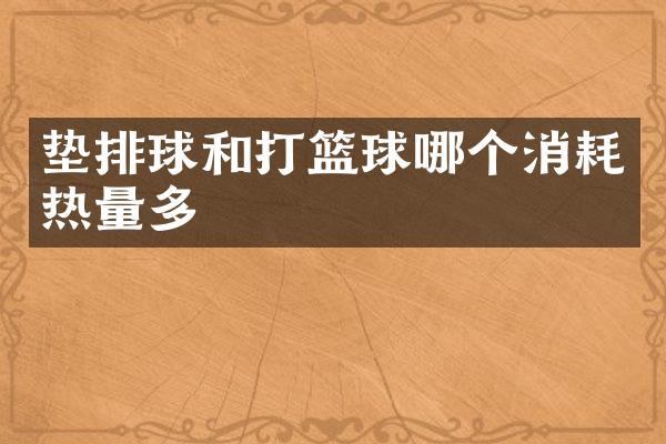 垫排球和打篮球哪个消耗热量多