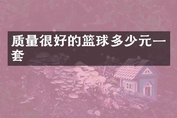 质量很好的篮球多少元一套