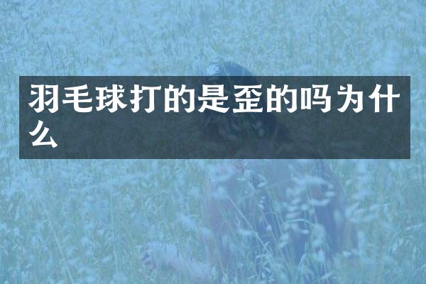 羽毛球打的是歪的吗为什么