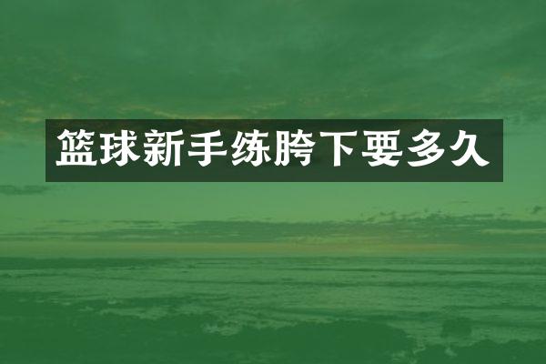 篮球新手练胯下要多久