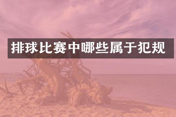 排球比赛中哪些属于犯规