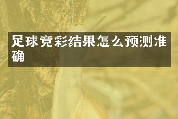 足球竞彩结果怎么预测准确