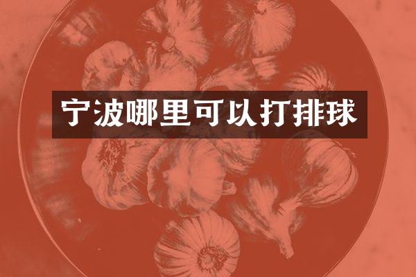 宁波哪里可以打排球