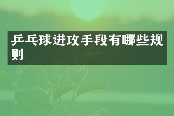 乒乓球进攻手段有哪些规则