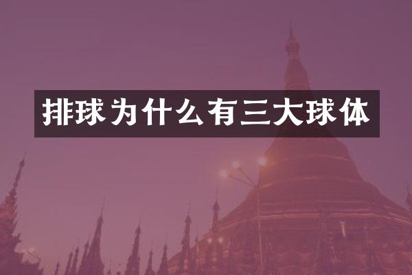 排球为什么有三大球体
