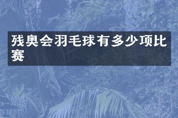 残奥会羽毛球有多少项比赛