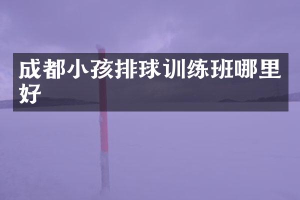 成都小孩排球训练班哪里好