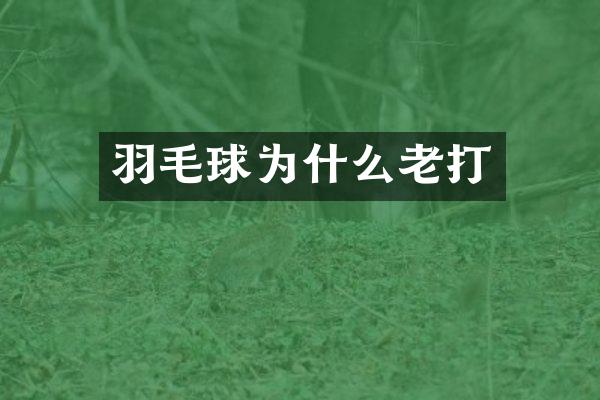 羽毛球为什么老打