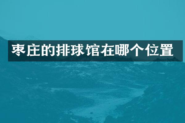 枣庄的排球馆在哪个位置