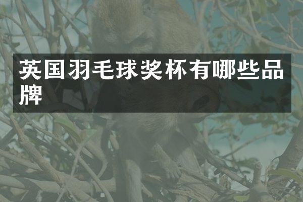 英国羽毛球奖杯有哪些品牌