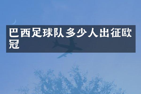 巴西足球队多少人出征欧冠