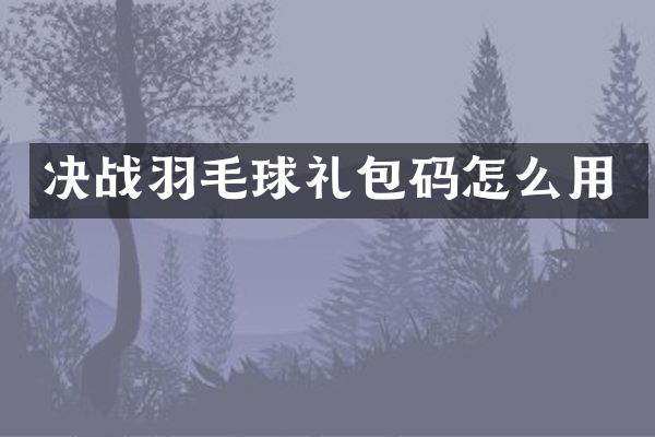 决战羽毛球礼包码怎么用
