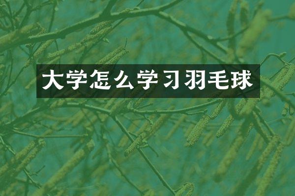 大学怎么学习羽毛球
