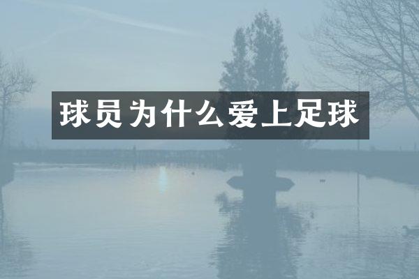 球员为什么爱上足球