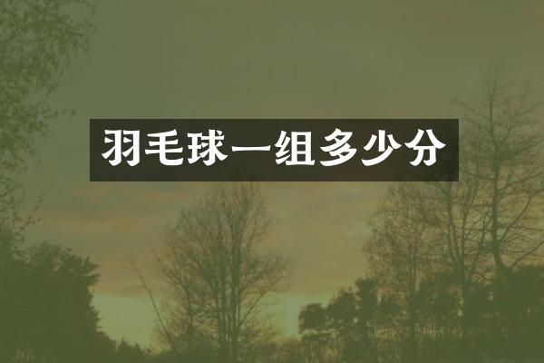 羽毛球一组多少分