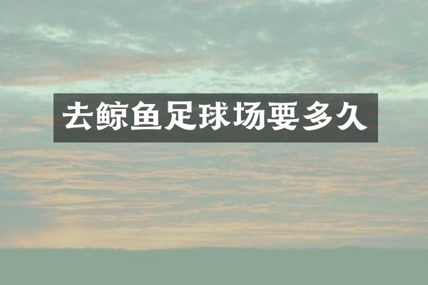 去鲸鱼足球场要多久