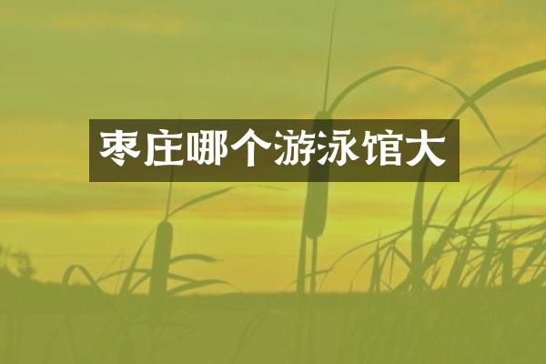 枣庄哪个游泳馆大