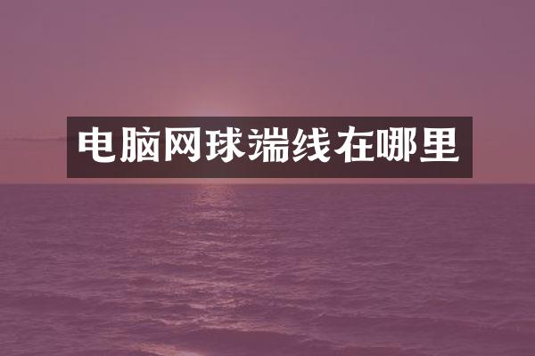 电脑网球端线在哪里