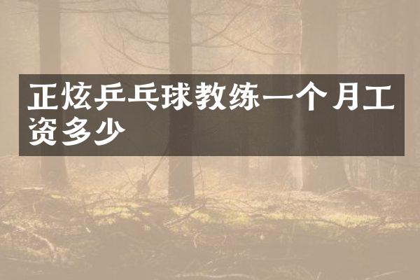 正炫乒乓球教练一个月工资多少
