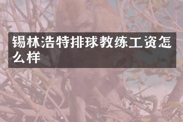 锡林浩特排球教练工资怎么样