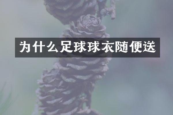 为什么足球球衣随便送