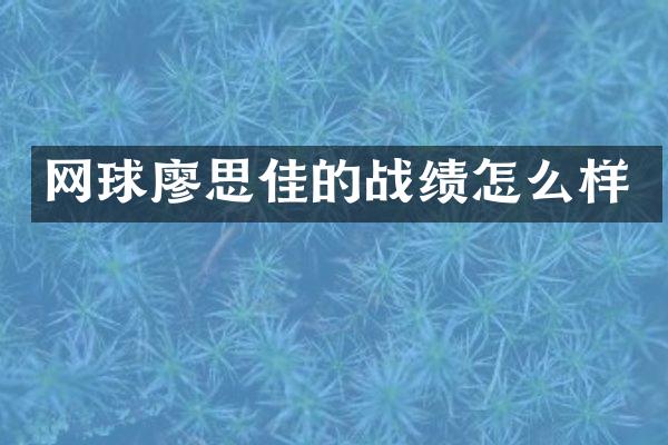 网球廖思佳的战绩怎么样