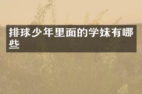 排球少年里面的学妹有哪些