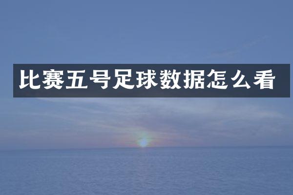 比赛五号足球数据怎么看