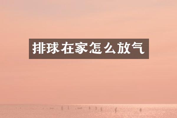 排球在家怎么放气