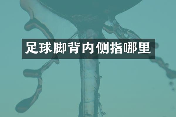 足球脚背内侧指哪里
