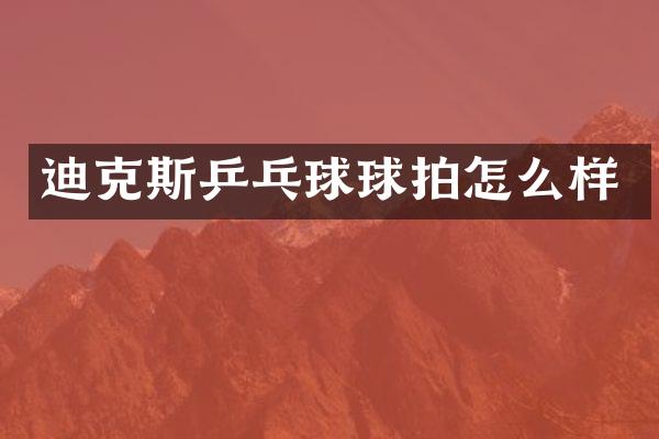 迪克斯乒乓球球拍怎么样