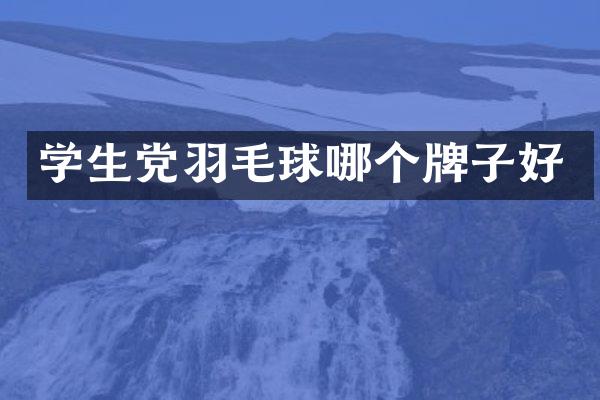 学生党羽毛球哪个牌子好