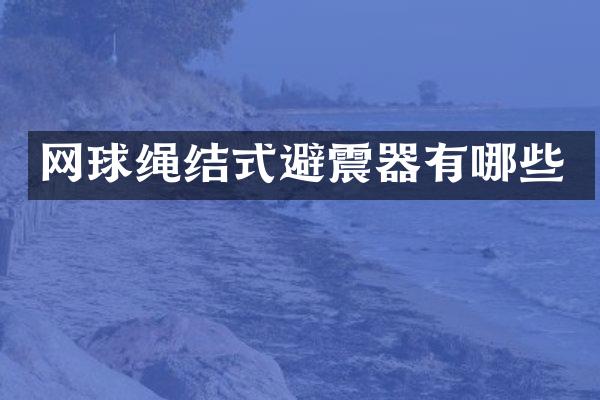 网球绳结式避震器有哪些